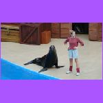 Sea Lion Show.jpg